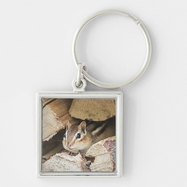 Chipmunk in einem Holzstapel Schlüsselanhänger (Vorne)
