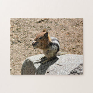 Chipmunk in Yosemite, Kalifornien