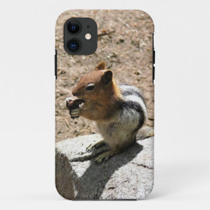 Chipmunk in Yosemite, Kalifornien Case-Mate iPhone Hülle