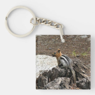 Chipmunk in Yosemite, Kalifornien Schlüsselanhänger