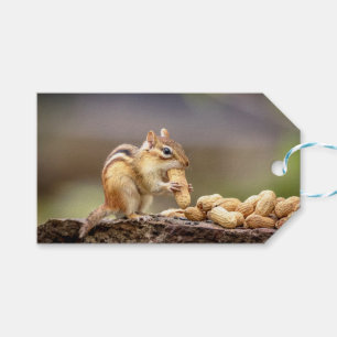 Chipmunk isst Erdnuss Geschenkanhänger