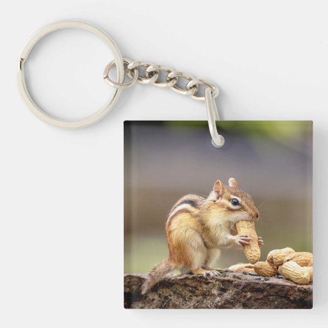 Chipmunk isst Erdnuss Schlüsselanhänger (Vorderseite)