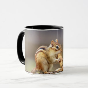 Chipmunk isst Erdnuss Tasse