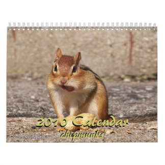 Chipmunk-Kalender 2010 Kalender