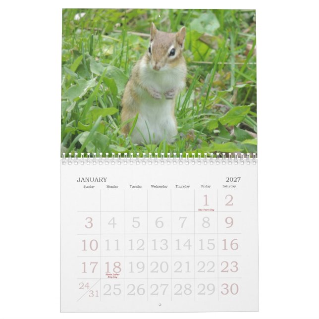 Chipmunk-Kalender Kalender (Jan 2027)