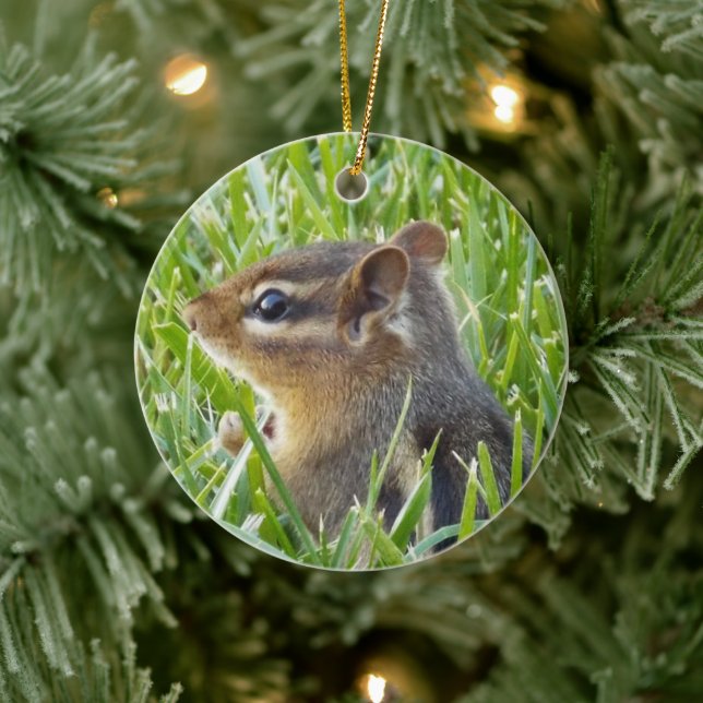 Chipmunk Keramik Ornament (Baum)