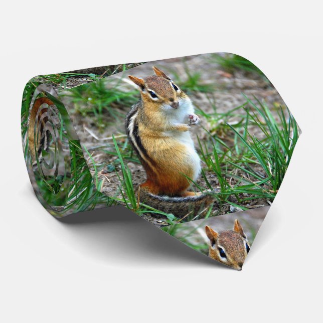 Chipmunk Krawatte (Gerollt)