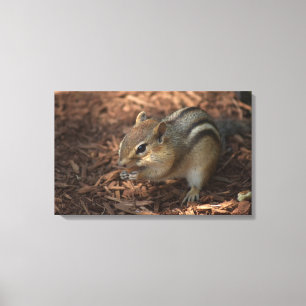 Chipmunk Leinwanddruck