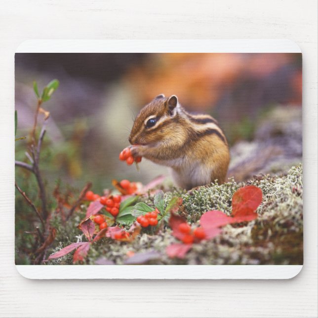 Chipmunk Life Style  trending product Mousepad (Vorne)