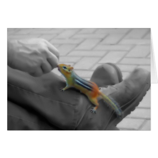 Chipmunk Lunch (Vorderseite (Horizontal))