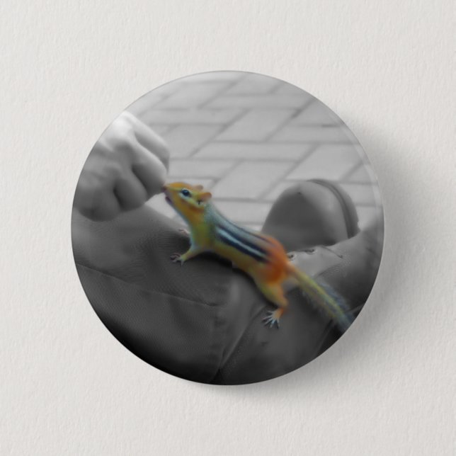 Chipmunk Lunch Button (Vorderseite)