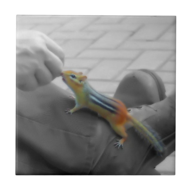 Chipmunk Lunch Fliese (Vorderseite)