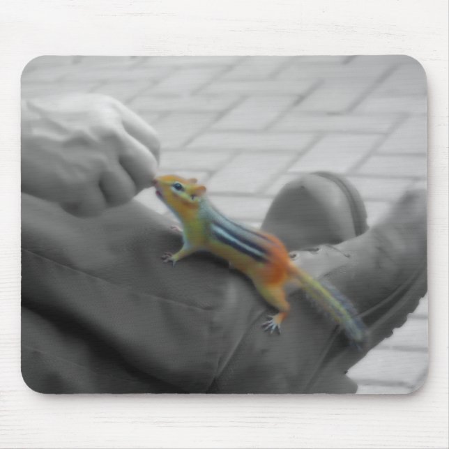 Chipmunk Lunch Mousepad (Vorne)