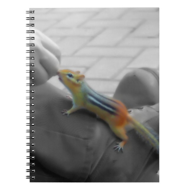 Chipmunk Lunch Notizblock (Vorderseite)