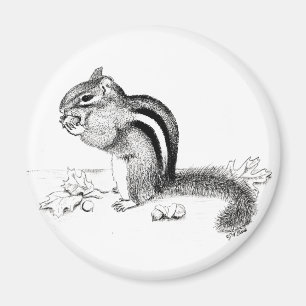 Chipmunk Magnet