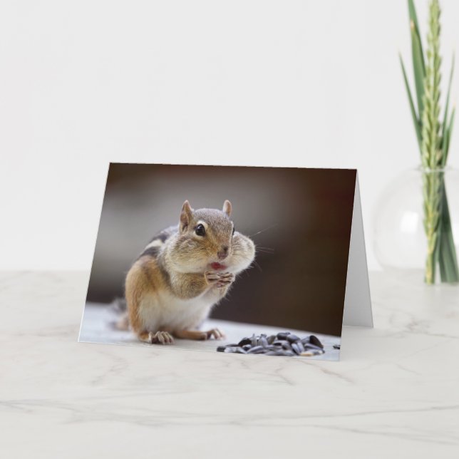 Chipmunk mit Backen-vollem Foto Karte (Vorderseite)