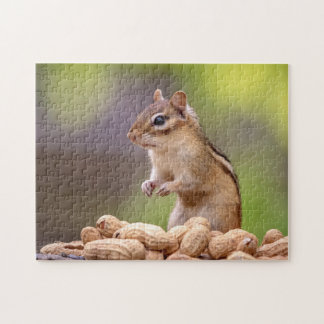 Chipmunk mit Erdnüssen