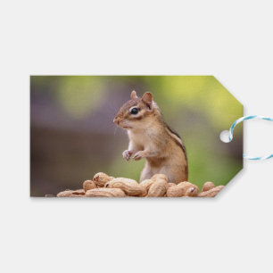 Chipmunk mit Erdnüssen Geschenkanhänger
