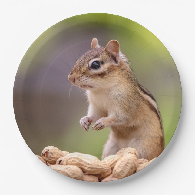 Chipmunk mit Erdnüssen Pappteller (Vorderseite)