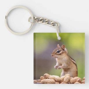 Chipmunk mit Erdnüssen Schlüsselanhänger