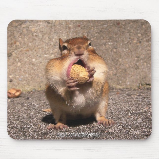 Chipmunk - Mousepad (Vorne)