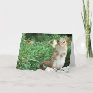 Chipmunk Notecard Karte