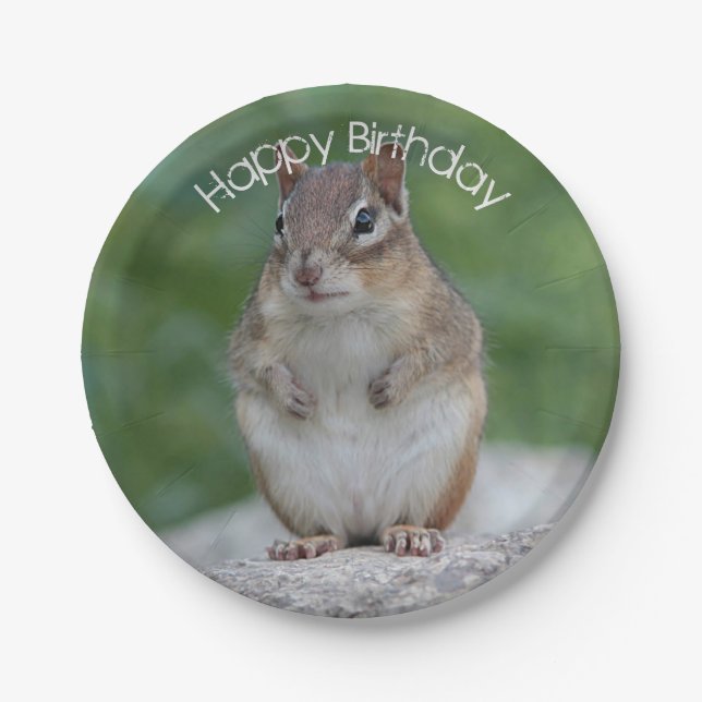 Chipmunk Pappteller (Vorderseite)