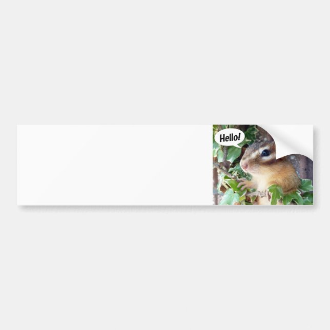 Chipmunk photo (20-4) autoaufkleber (Vorne)