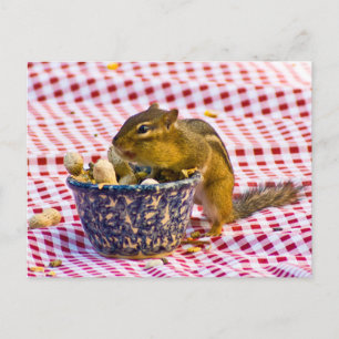 Chipmunk Picnic Postkarte