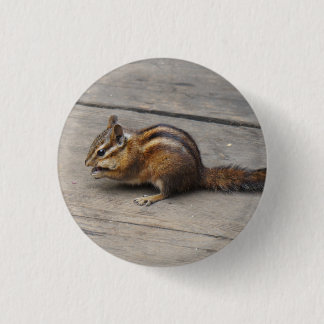 Chipmunk-Pinback-Taste Button