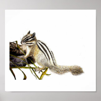 Chipmunk Poster