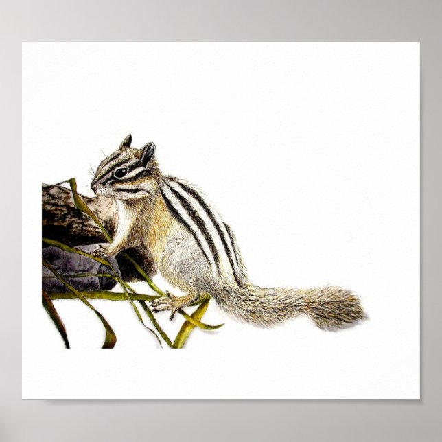 Chipmunk Poster (Vorne)