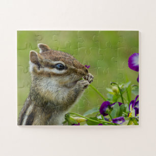 Chipmunk-Puzzle