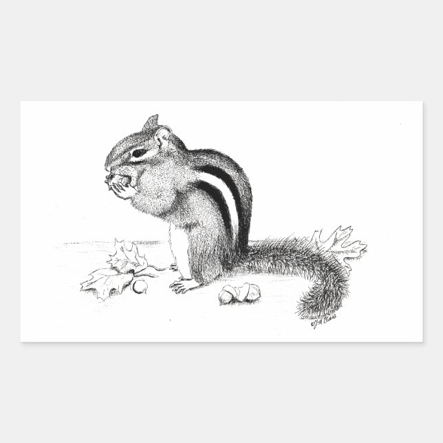 Chipmunk Rechteckiger Aufkleber (Vorderseite)