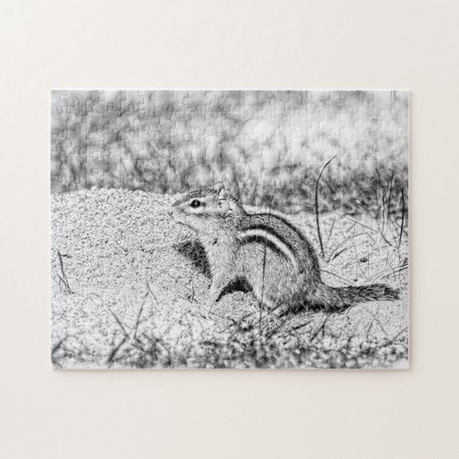Chipmunk Sketch (Horizontal)