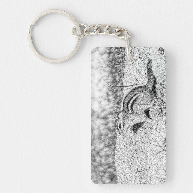 Chipmunk Sketch (Devant)