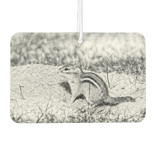 Chipmunk Sketch Autolufterfrischer