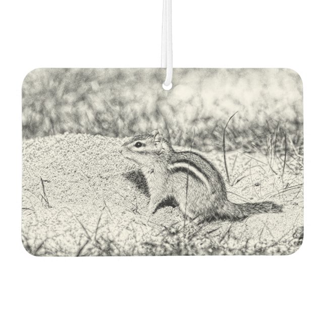 Chipmunk Sketch Autolufterfrischer (Vorderseite)