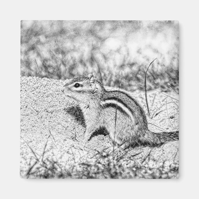 Chipmunk Sketch Magnet (Vorne)