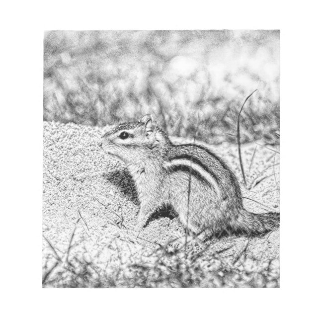 Chipmunk Sketch Notizblock (Vorderseite)