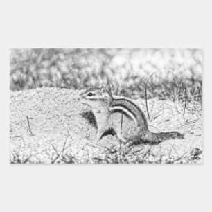 Chipmunk Sketch Rechteckiger Aufkleber