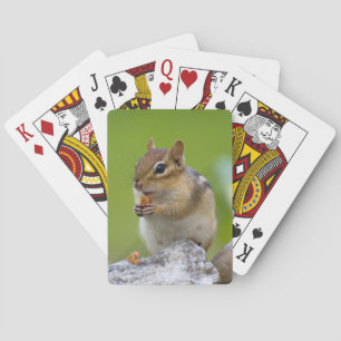 Chipmunk-Spielkarten Spielkarten