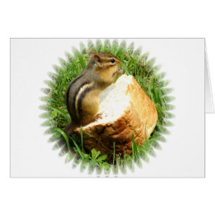 Chipmunk-Sprichwort grau