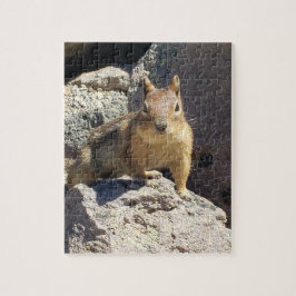 Chipmunk Stare Down