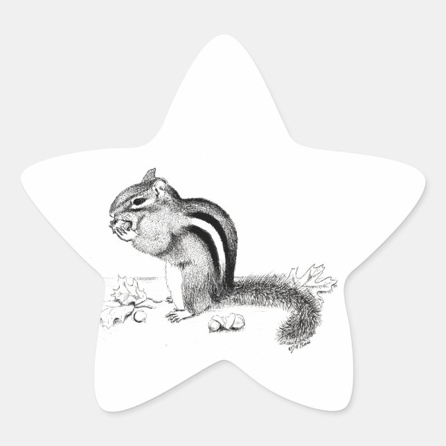 Chipmunk Stern-Aufkleber (Vorderseite)