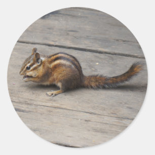 Chipmunk-Stickers Runder Aufkleber