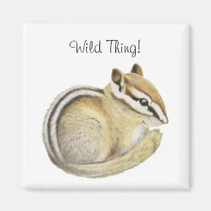 Chipmunk-T - Shirt Magnet