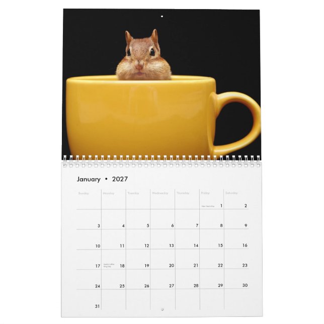 Chipmunk wagt Kalender 2013 (Jan 2027)