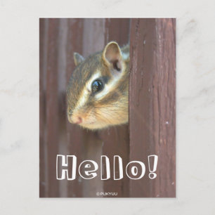 Chipmunk zum Nachschauen Postkarte