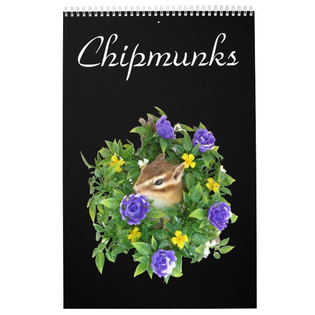 chipmunk's calendar  (All countries) Kalender (Titelbild)